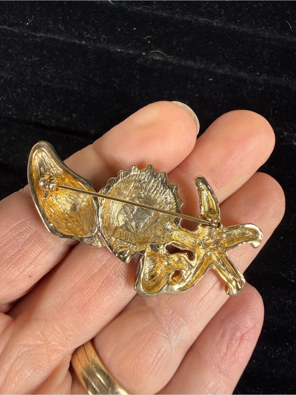 AAI Sea Shell Booch - Picture 3 of 5